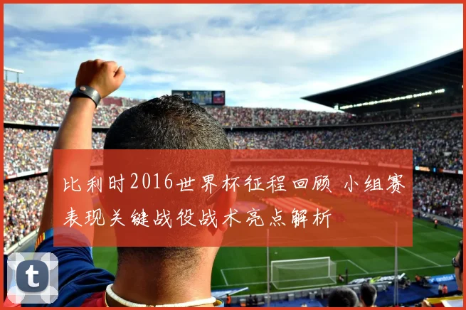 比利时2016世界杯征程回顾 小组赛表现关键战役战术亮点解析
