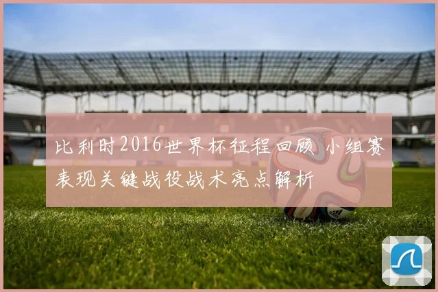 比利时2016世界杯征程回顾 小组赛表现关键战役战术亮点解析