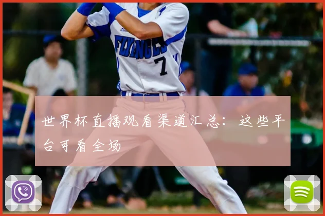 世界杯直播观看渠道汇总:这些平台可看全场