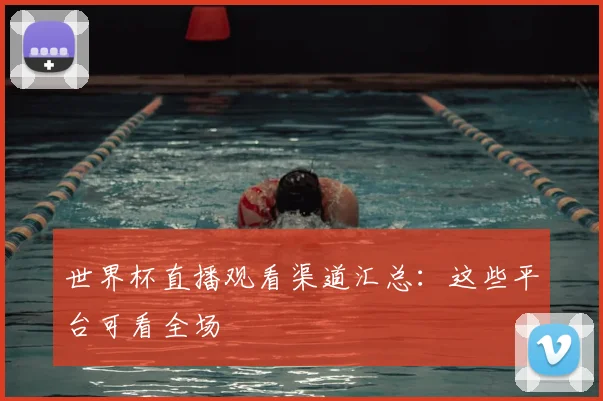 世界杯直播观看渠道汇总:这些平台可看全场