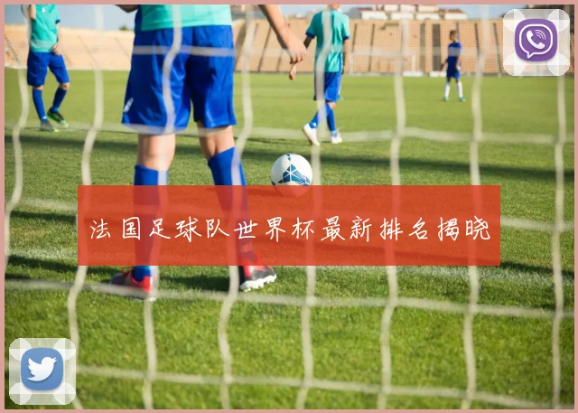 法国足球队世界杯最新排名揭晓
